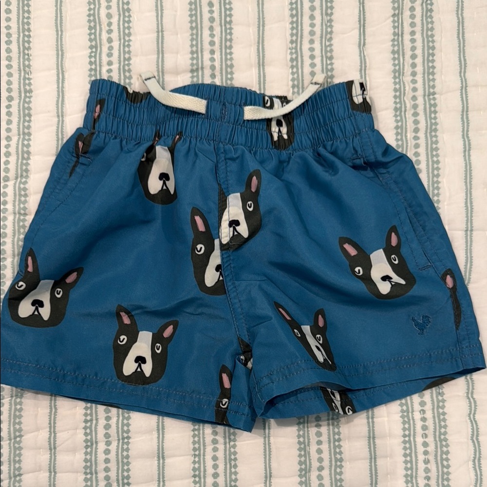Blue Kids Shorts with Dog Print